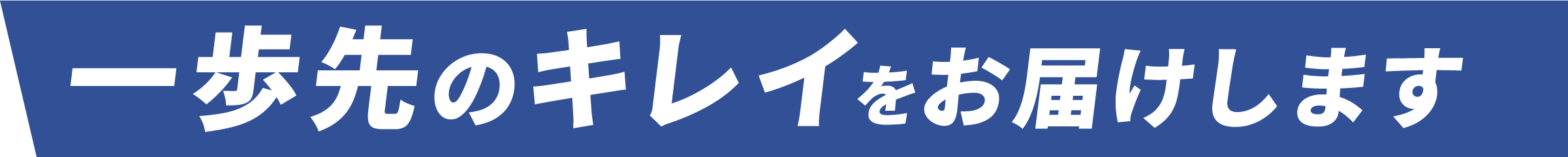 一歩先のキレイをお届けします